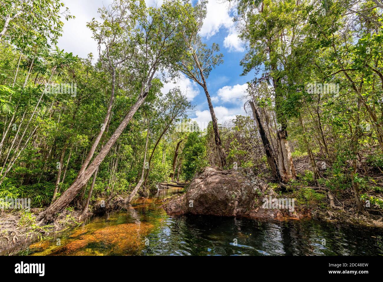 Les trous de Buley Rock en cascade avec une végétation luxuriante dans le Bush et des arbres tombés dans le parc national de Litchfield, dans la partie supérieure tropicale de l'Australie. Banque D'Images