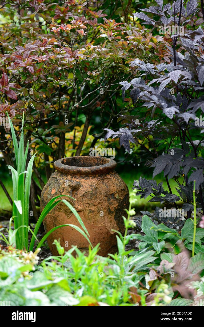 Vieux craqué tercotta urn, pitos, caractéristique de jardin, cassé, délabré, pots en terre cuite, jardin, jardins, grec urn, RM Floral Banque D'Images