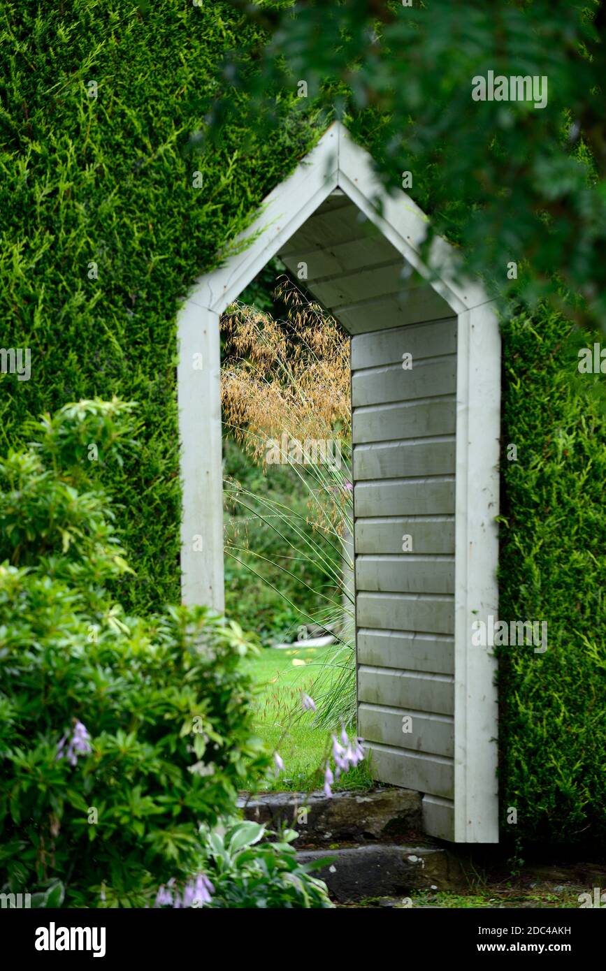 entrée en bois blanc à travers la haie de l'if, porte, haie, porte dans la haie, entrée dans l'if haie, porte en bois voûtée dans haie, jardin caractéristique, jardin desi Banque D'Images