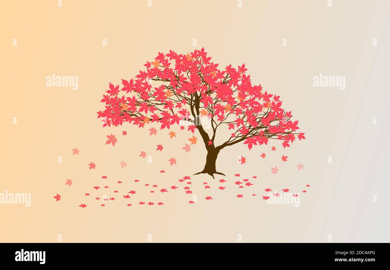 Érable japonais d'automne et feuilles rouges Illustration de Vecteur
