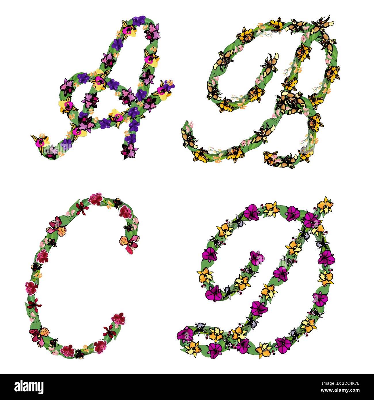 Ensemble d'éléments floraux lettres de l'alphabet, a, B, C, D, fait avec des feuilles et des fleurs d'orchidées. Police vectorielle artistique isolée sur blanc. Illustration de Vecteur
