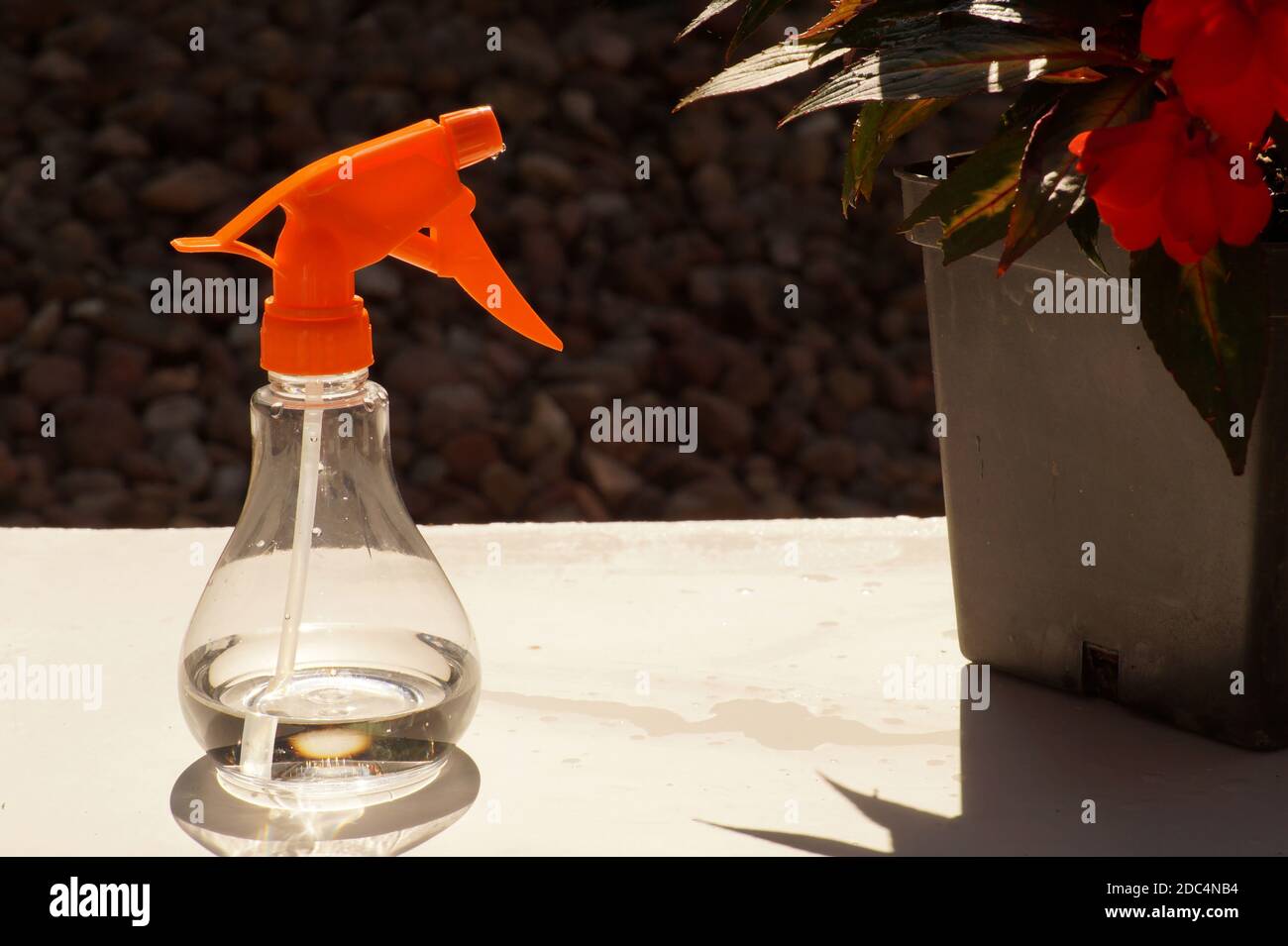 Un petit pulvérisateur manuel pour les plantes, utile pour arrosoir de  petites plantes Photo Stock - Alamy