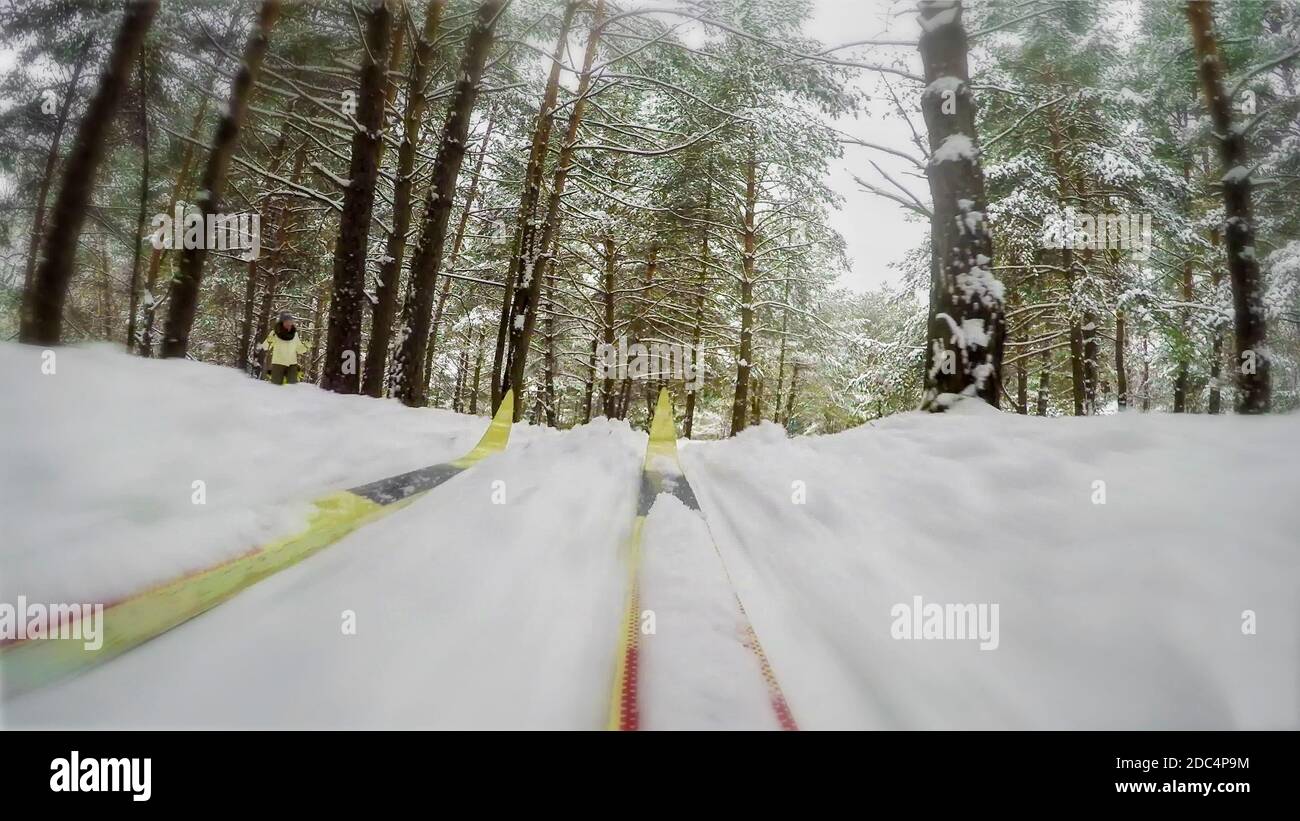 Ski de fond par une journée d'hiver enneigée en forêt, skieur abstrait sur la piste. Concept hiver sain style de vie, sport, temps Banque D'Images