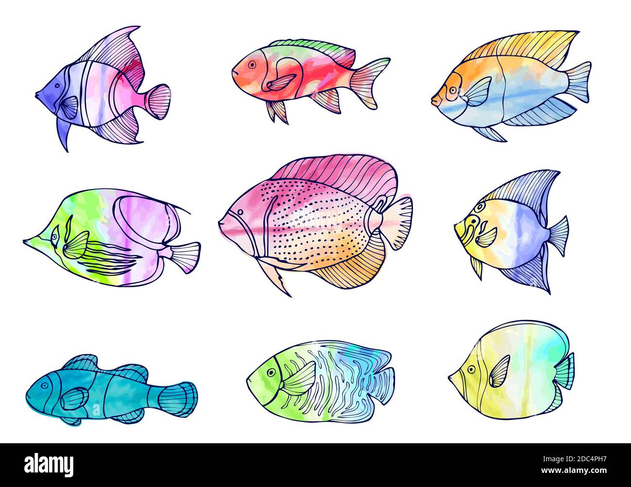 Ensemble de poissons dessinés à la main avec fond aquarelle.isolé sur blanc. Illustration du vecteur d'esquisse. Illustration de Vecteur