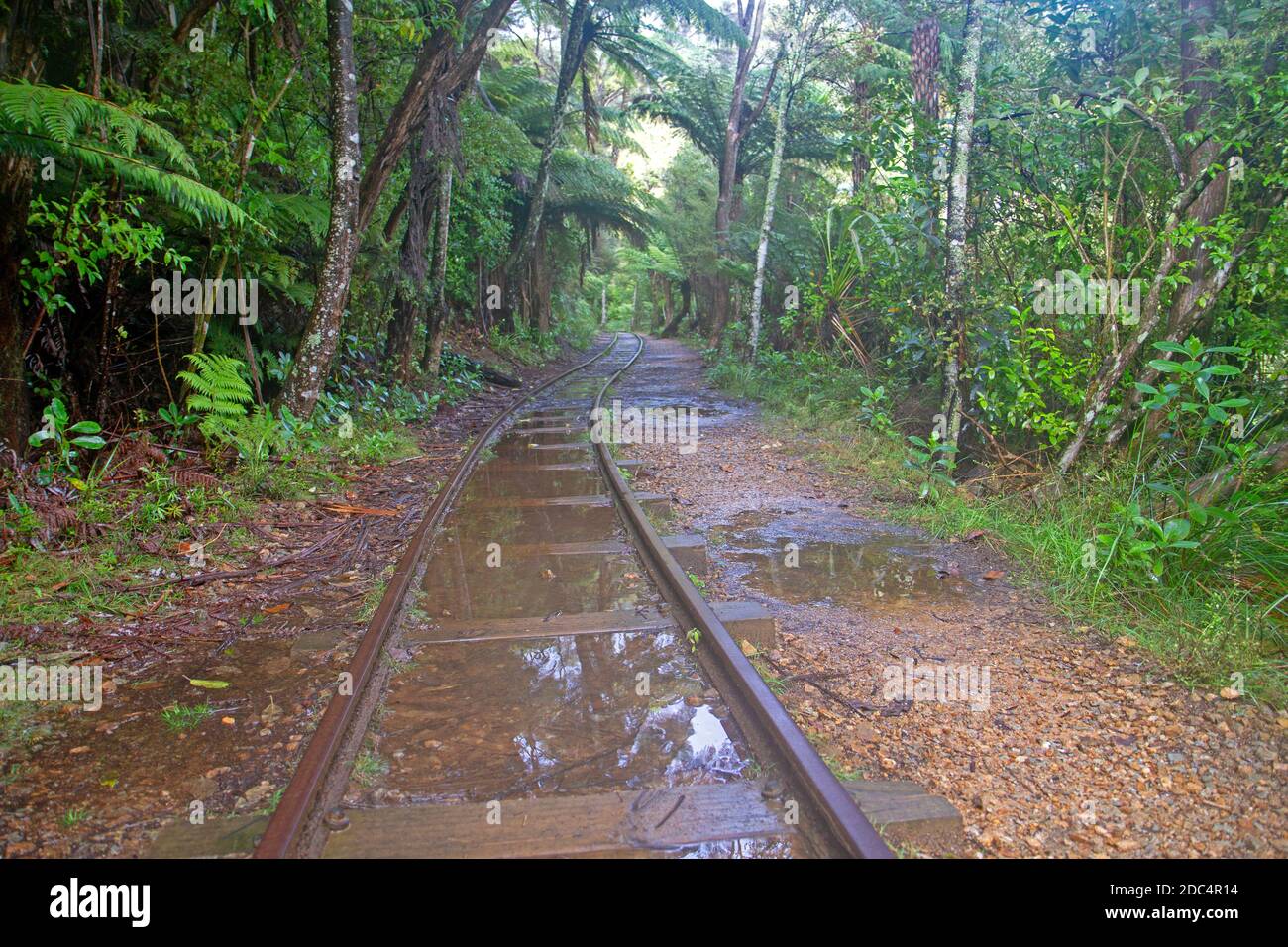 Ancien chemin de fer minier dans la gorge de Karangahake Banque D'Images