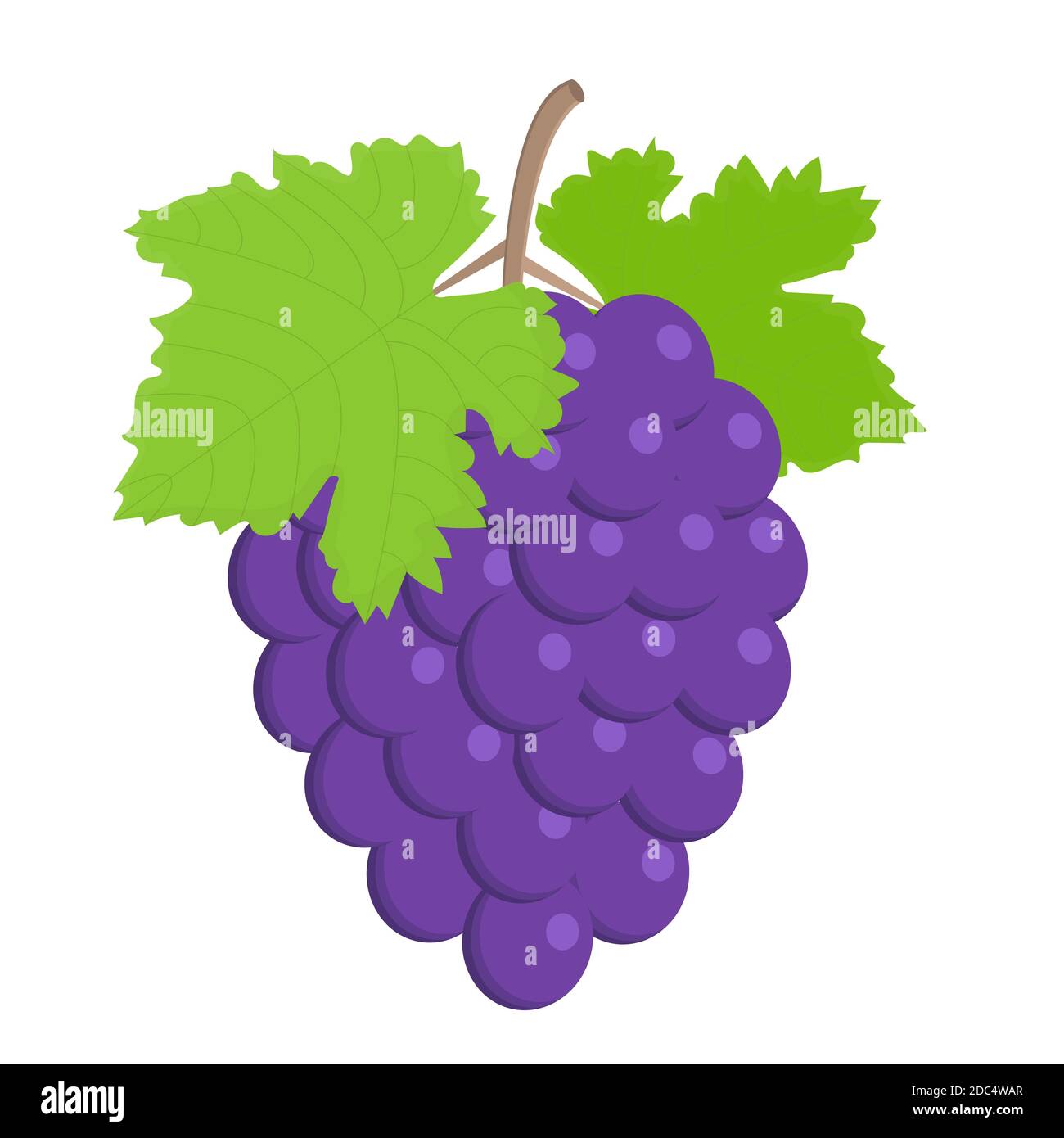 Bouquet de raisins violets avec feuilles. Illustration vectorielle plate. Illustration de Vecteur