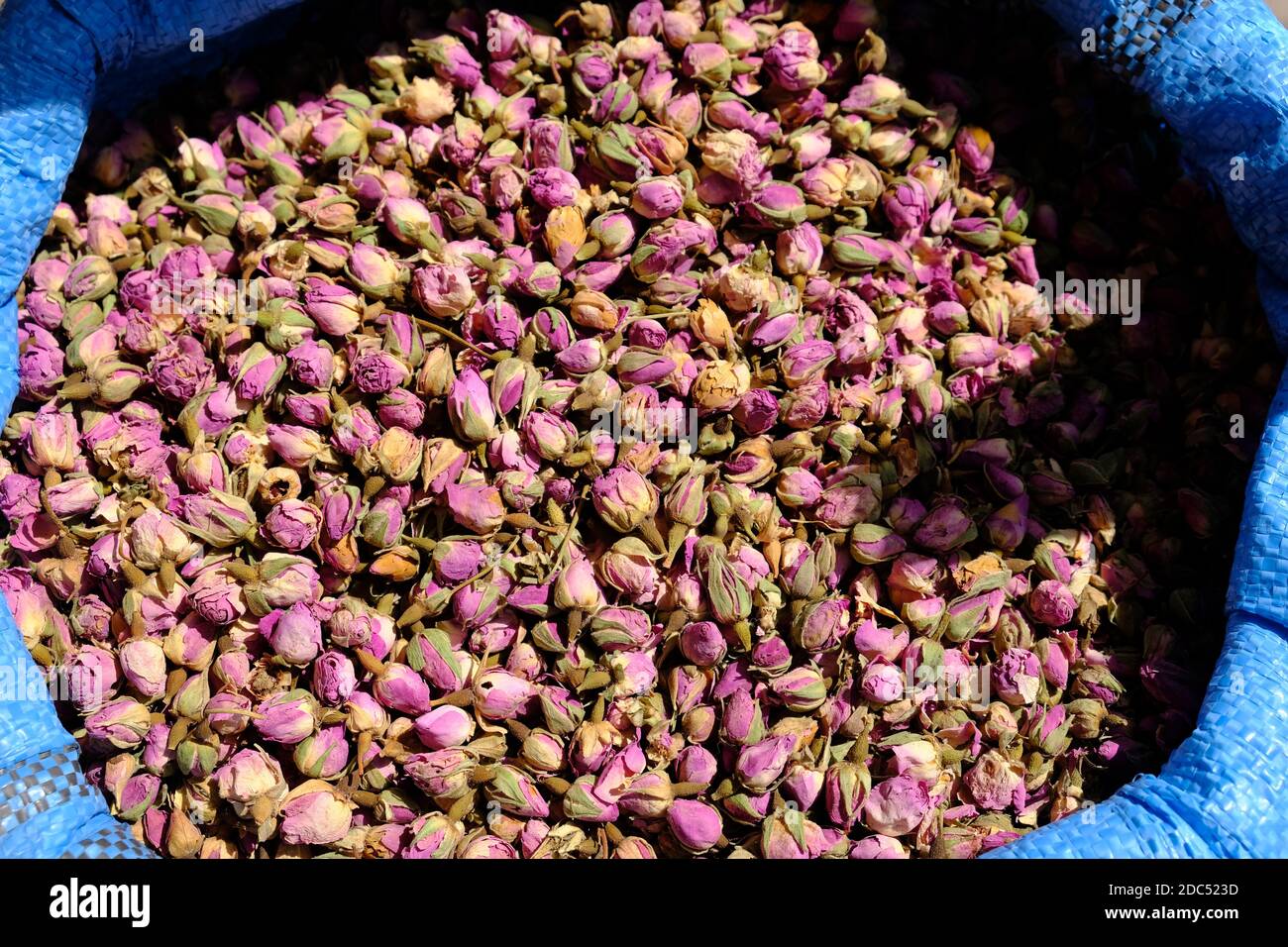 Maroc Marrakech - fleurs colorées d'un marchand d'épices Banque D'Images