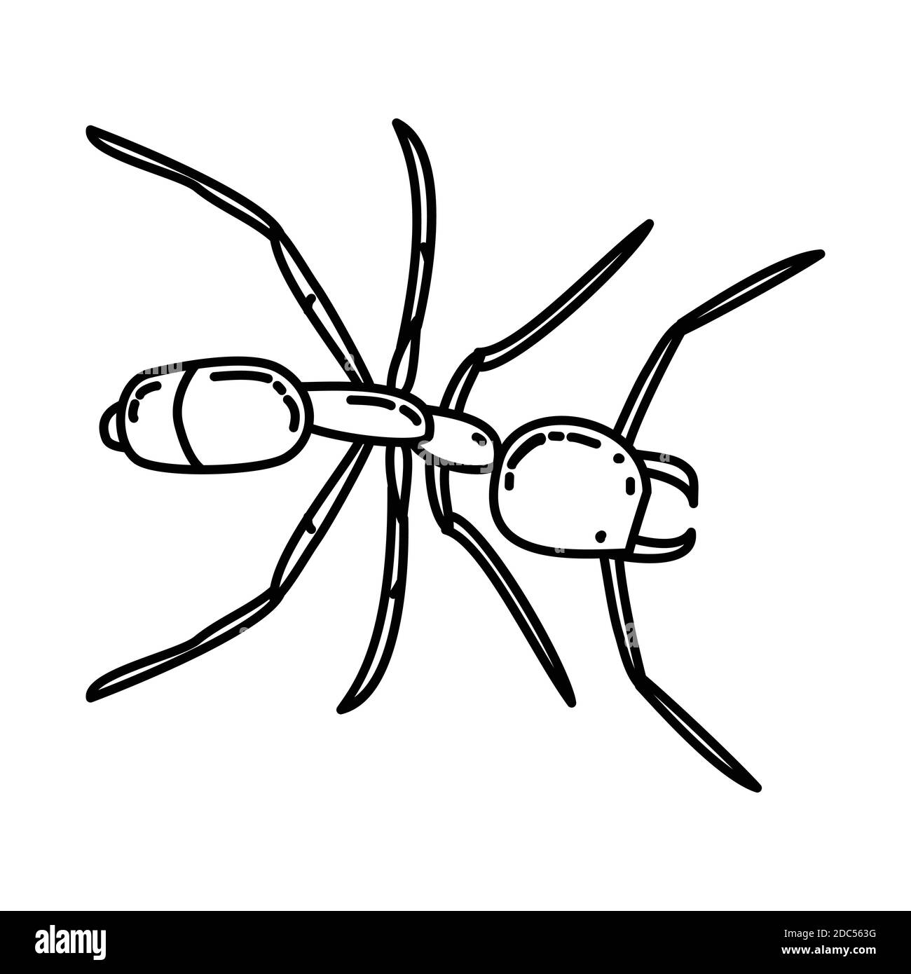 Icône tir Ant. Vecteur de jeu d'icônes dessinées à la main pour animaux tropicaux. Illustration de Vecteur