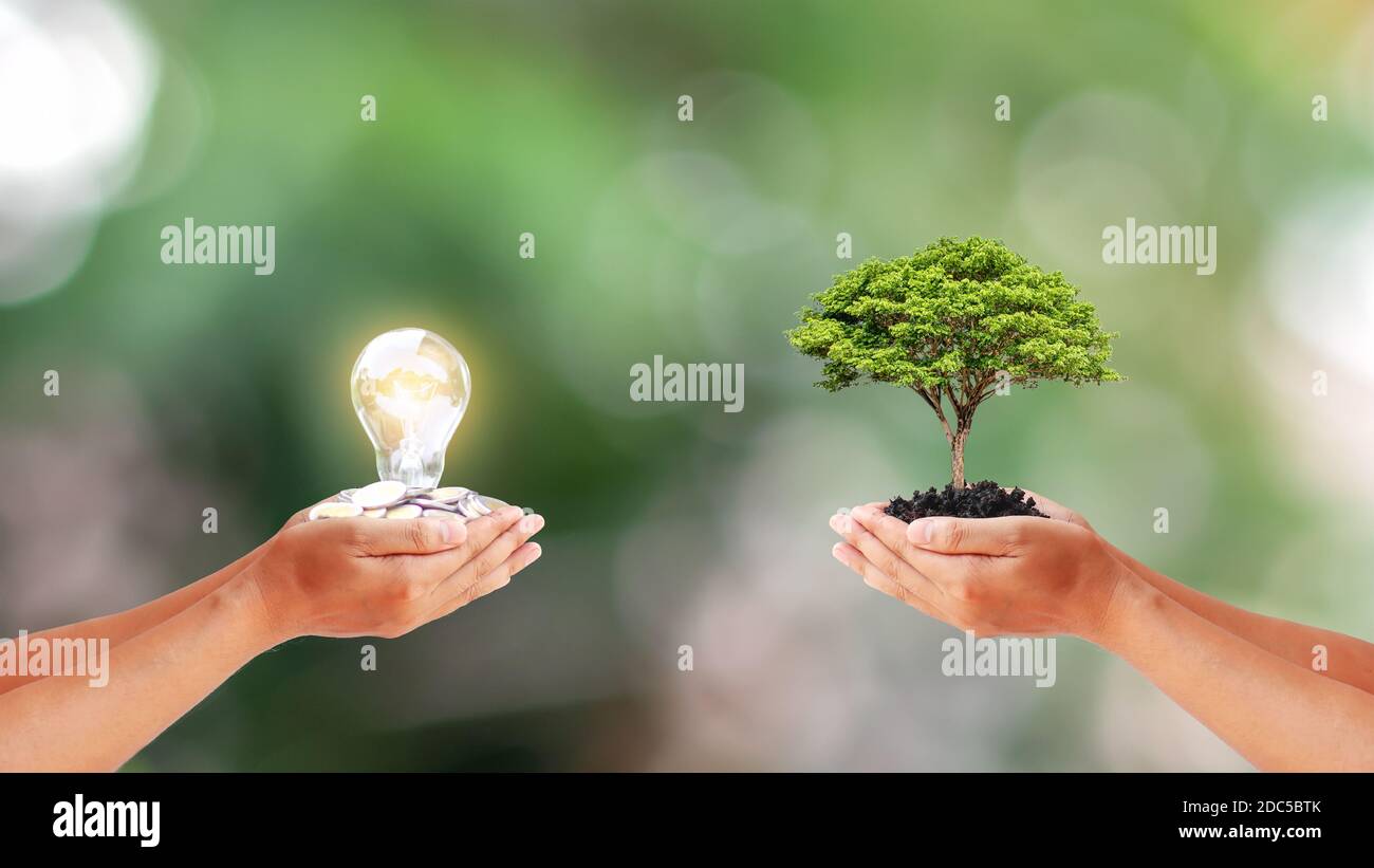 Deux mains humaines tenant des petits arbres et une lampe à économie d'énergie sur fond vert flou avec le concept de conservation d'énergie et l'environnement de la terre Banque D'Images