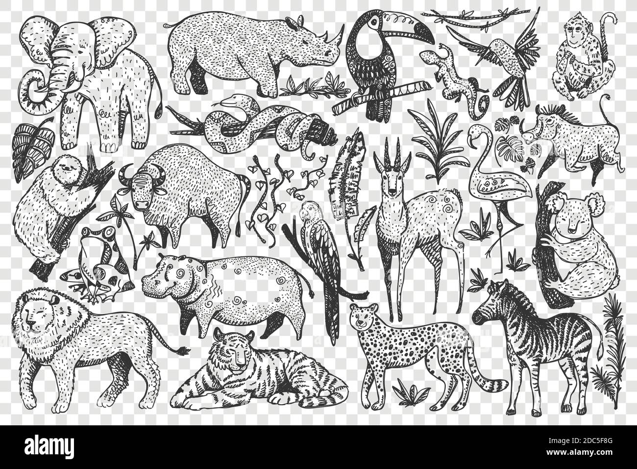 Ensemble de doodle pour animaux. Collection de drôle dessiné à la main de jolis mammifères sauvages de safari africains isolés sur fond transparent. Illustration des serpents de lion léopard singe zèbre girafe éléphant pour les enfants. Illustration de Vecteur