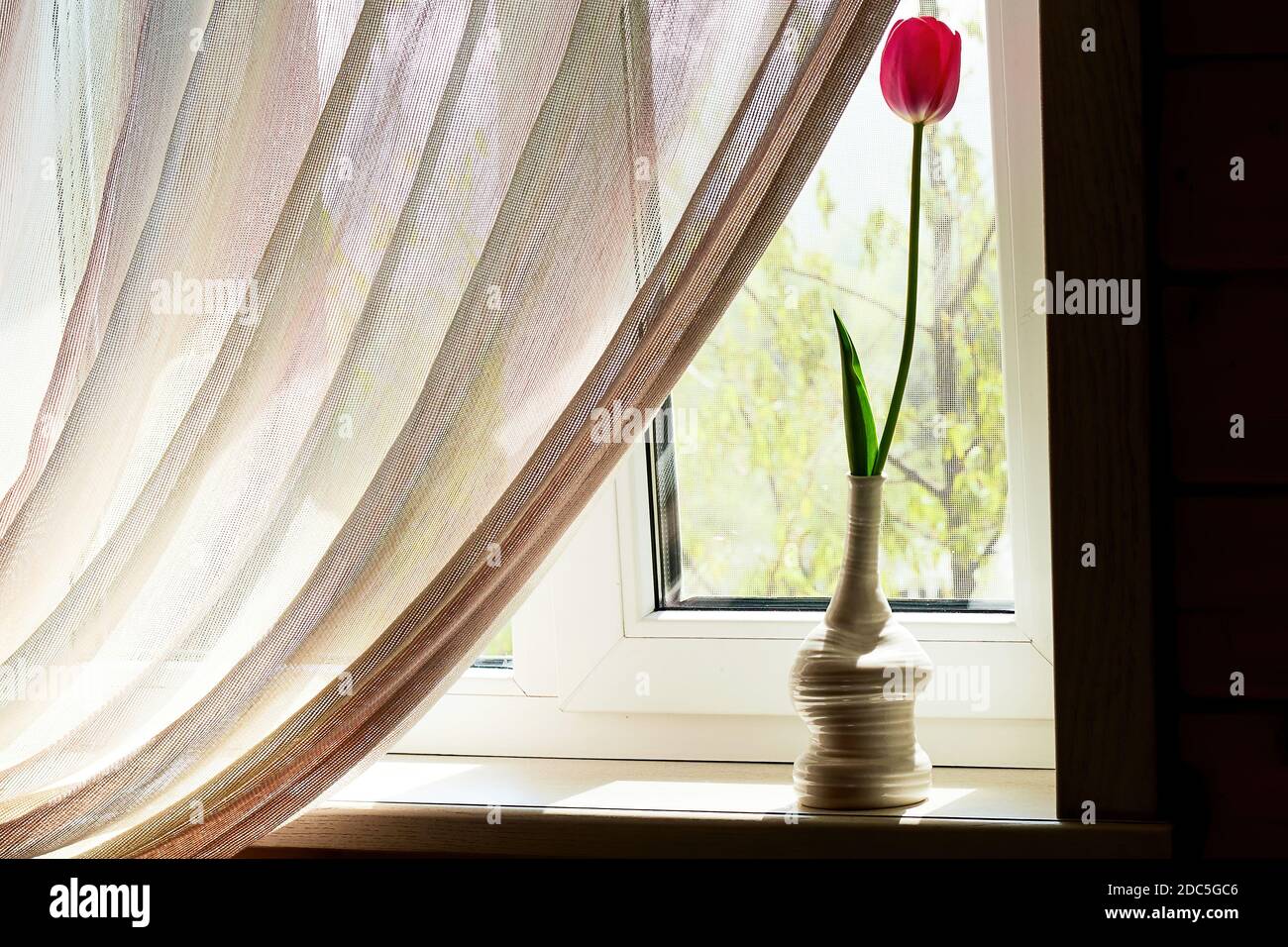 Tulipe tendre dans le vase décoratif sur le rebord de la fenêtre. Concept d'amour et d'élégance Banque D'Images