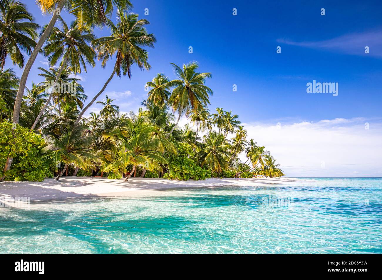Plage tranquille. Paysage tropical ensoleillé de plage exotique. Concept vacances d'été. Destination de voyage de luxe, nature idyllique, palmiers, mer Banque D'Images