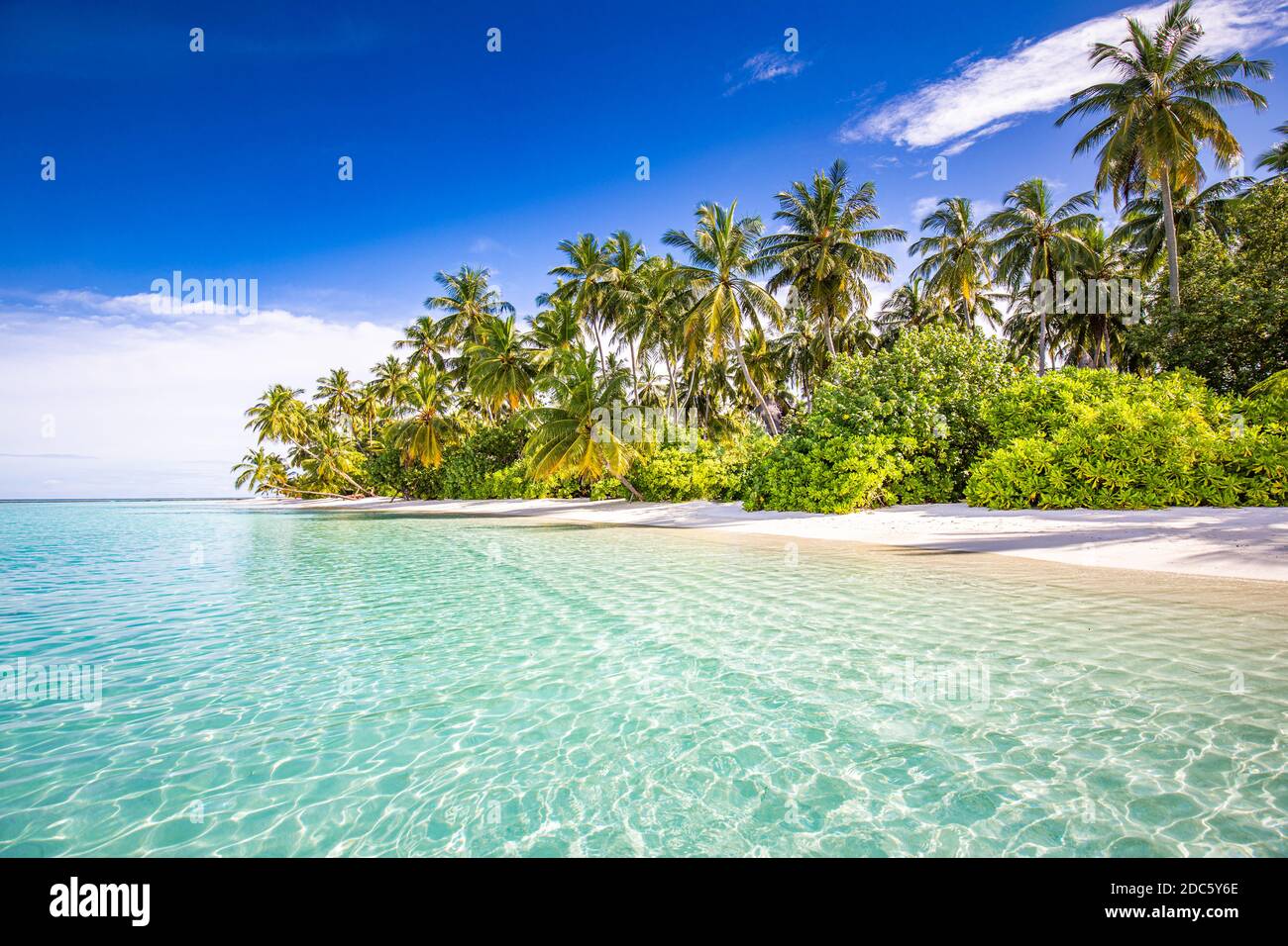 Plage tranquille. Paysage tropical ensoleillé de plage exotique. Concept vacances d'été. Destination de voyage de luxe, nature idyllique, palmiers, mer Banque D'Images