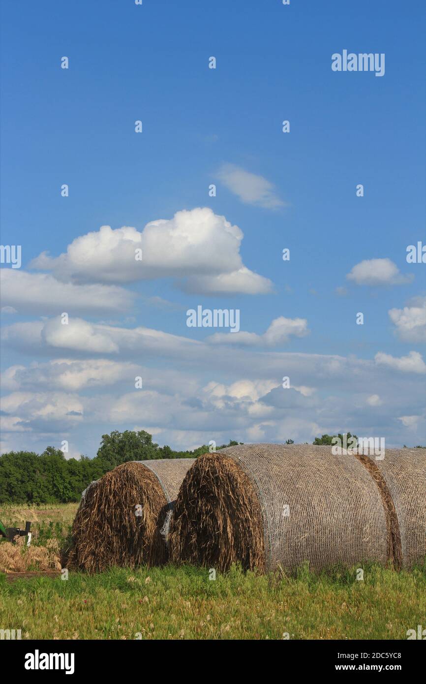 Kansas Hay balles dans un champ de ferme avec ciel bleu et nuages qui est lumineux et coloré . Banque D'Images