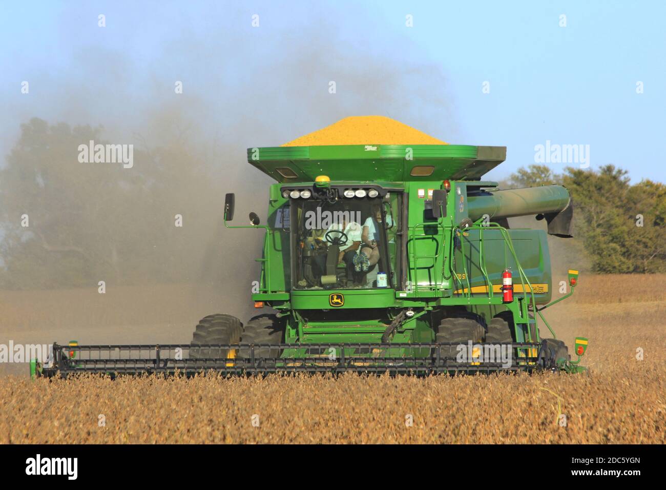 John Deere combine la coupe de fèves de soja dans un champ de ferme du Kansas avec des arbres et un ciel bleu lors d'un jour d'automne avec de la poussière dans l'air. Banque D'Images