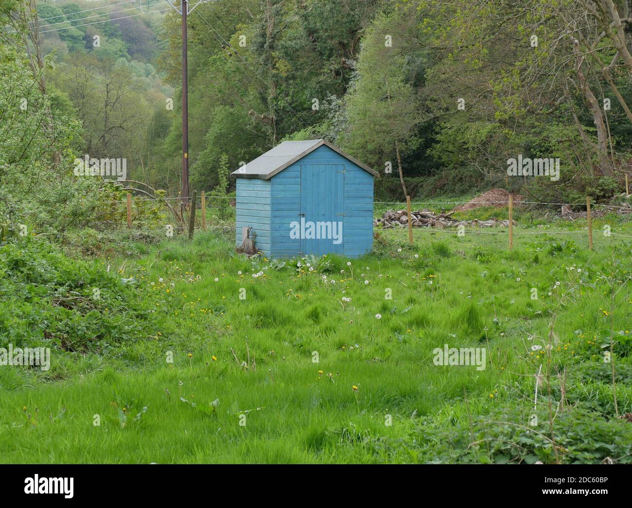 Cabane à hangar peinte en bleu avec toit noir en vert herbe buissons arbres en arrière-plan Banque D'Images