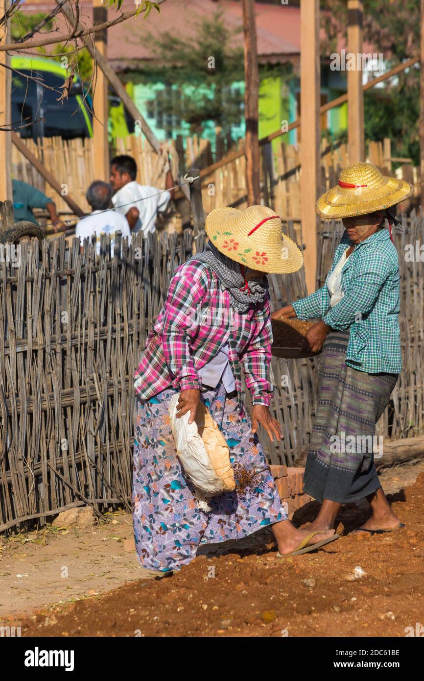 Les villageois entreprennent des travaux manuels de construction routière au West Phwar Saw Village, Bagan, Myanmar (Birmanie), Asie en février, des femmes déplaçant des matériaux de vidange Banque D'Images