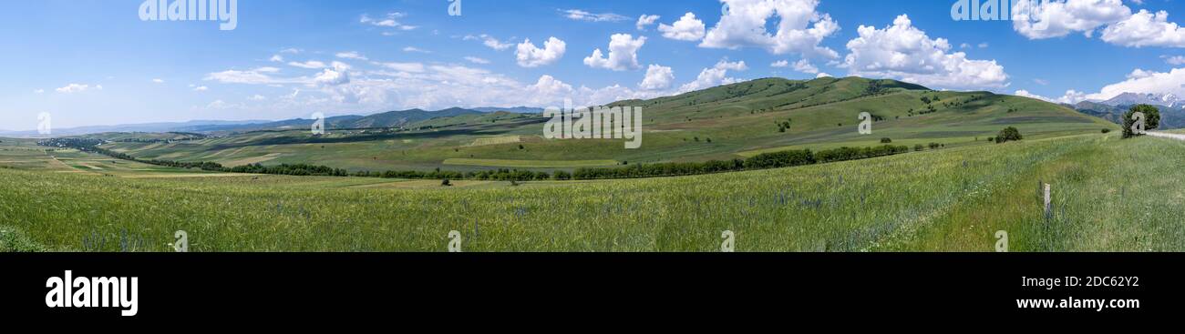 Panorama des champs verts et des collines avec l'agriculture dans le district de Suzak à Kara-Alam au Kirghizistan. Banque D'Images