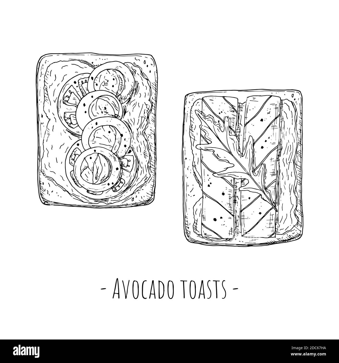 Toasts d'avocat. Vue de dessus. Style dessiné à la main. Objets isolés sur fond blanc. Illustrations vectorielles. Illustration de Vecteur Toasts d'avocat. Vue de dessus. Style dessiné à la main. Objets isolés sur fond blanc. Illustrations vectorielles. Illustration de Vecteur