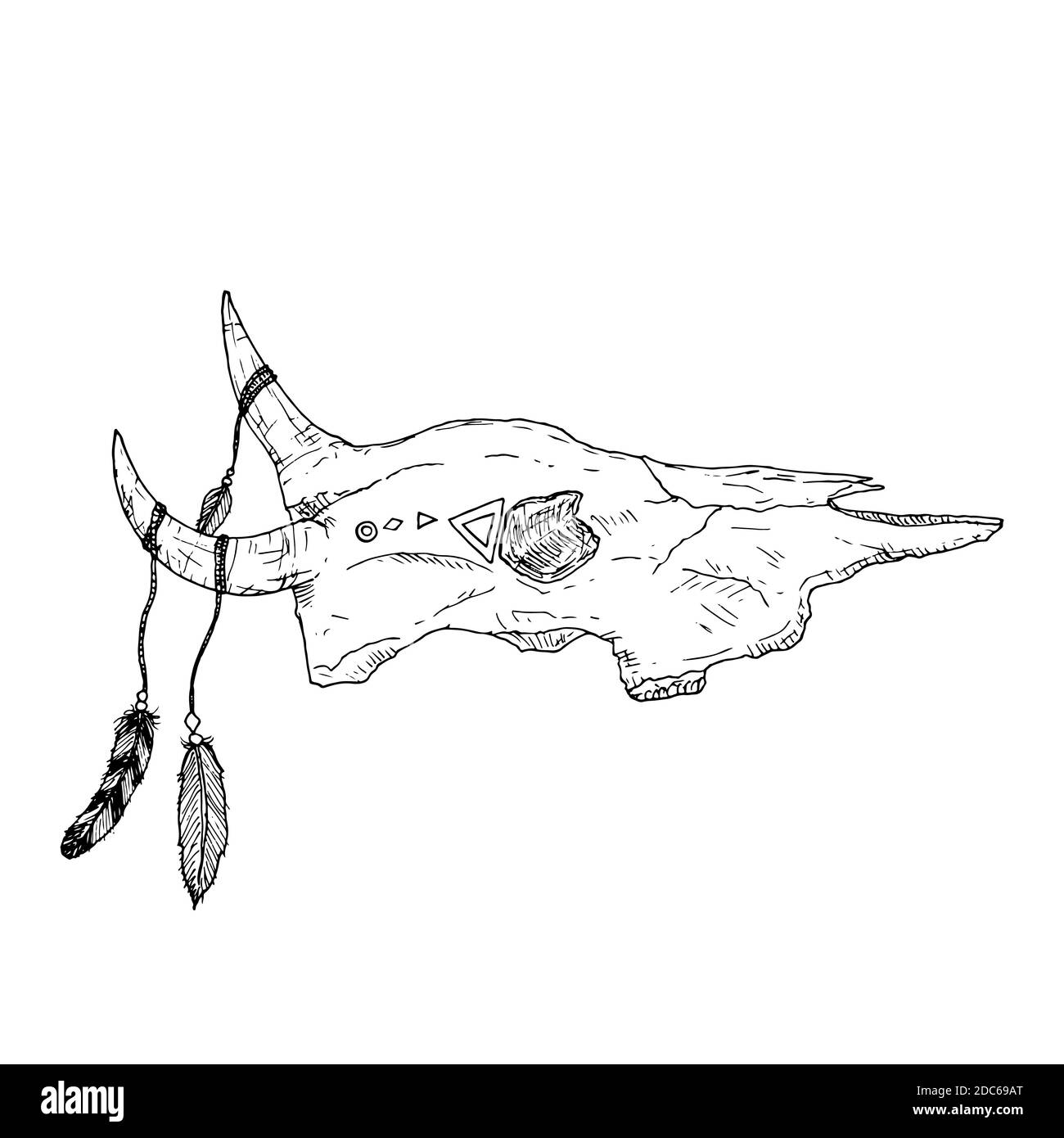 Crâne de taureau avec plumes sur les cornes. Style boho. Illustration vectorielle. Isolé sur blanc. Style dessiné à la main. Illustration de Vecteur