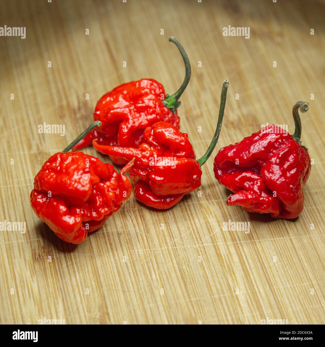 Carolina Reaper, le piment chilien le plus chaud (Capsicum chinense), gousse entière mûre, sur fond de bois. Piment chilien très chaud ou très chaud Banque D'Images