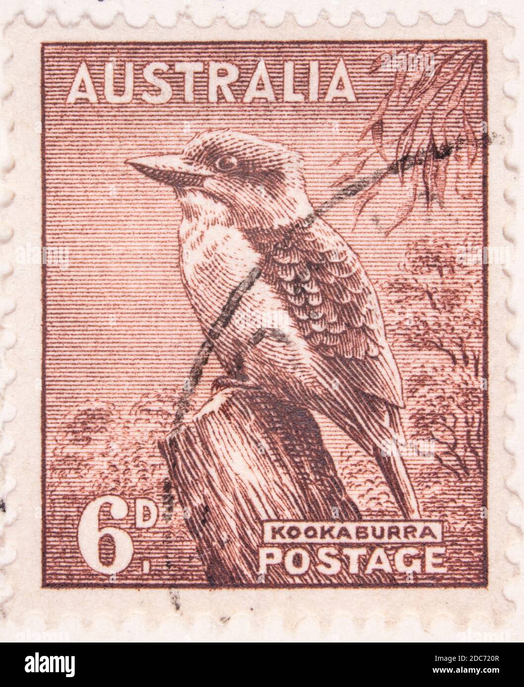 Antwerpen, Belgique - 17 novembre 2020 : un timbre imprimé par la poste australienne présente l'oiseau de Kookaburra Banque D'Images