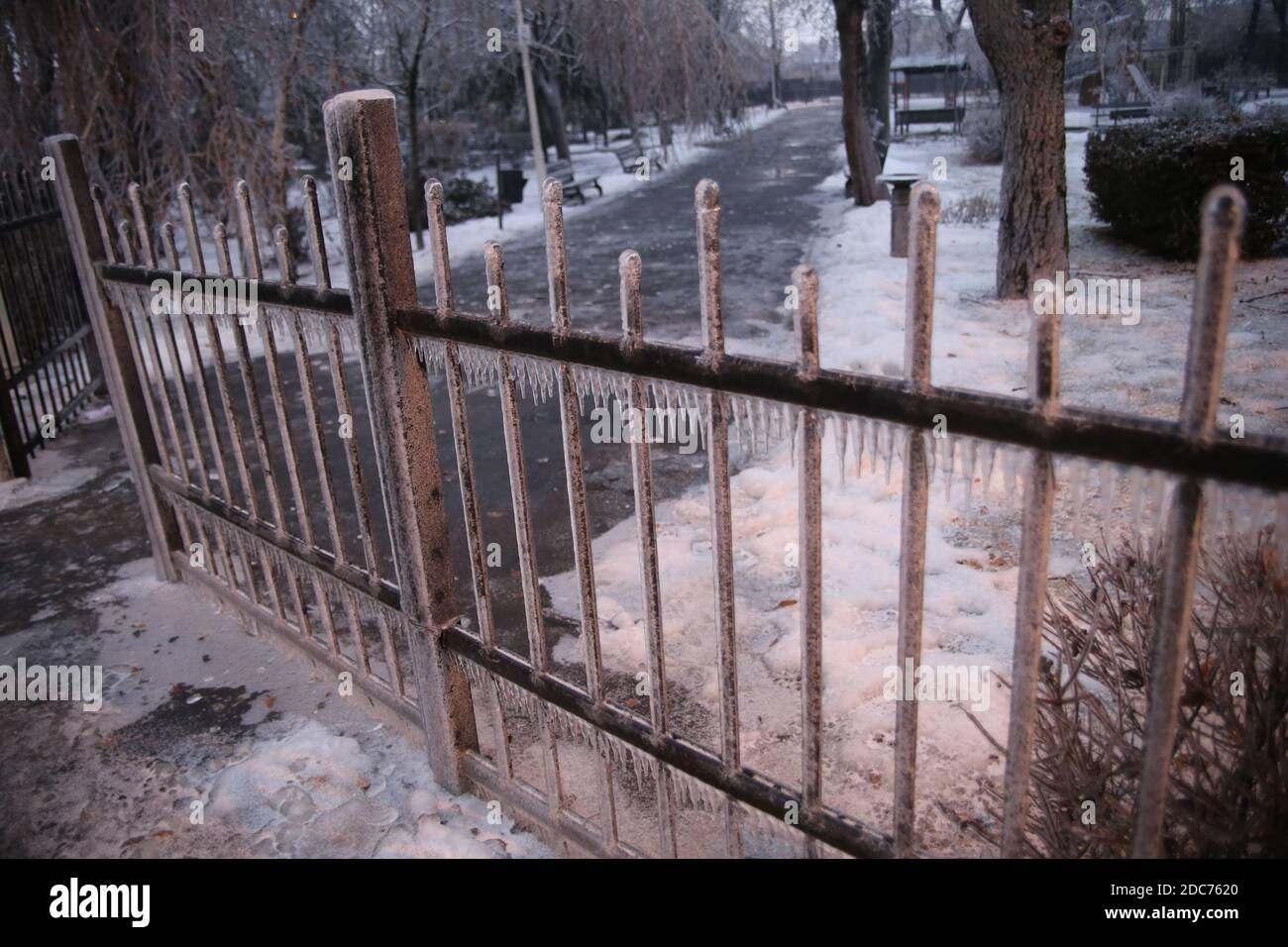Porte gelée dans le parc Photo Stock - Alamy