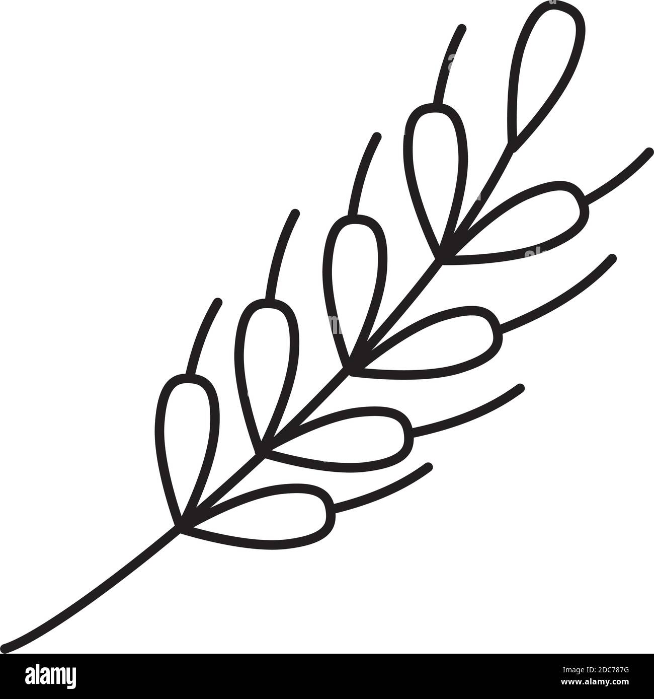icône feuilles de blé sur fond blanc, style de ligne, illustration vectorielle Illustration de Vecteur
