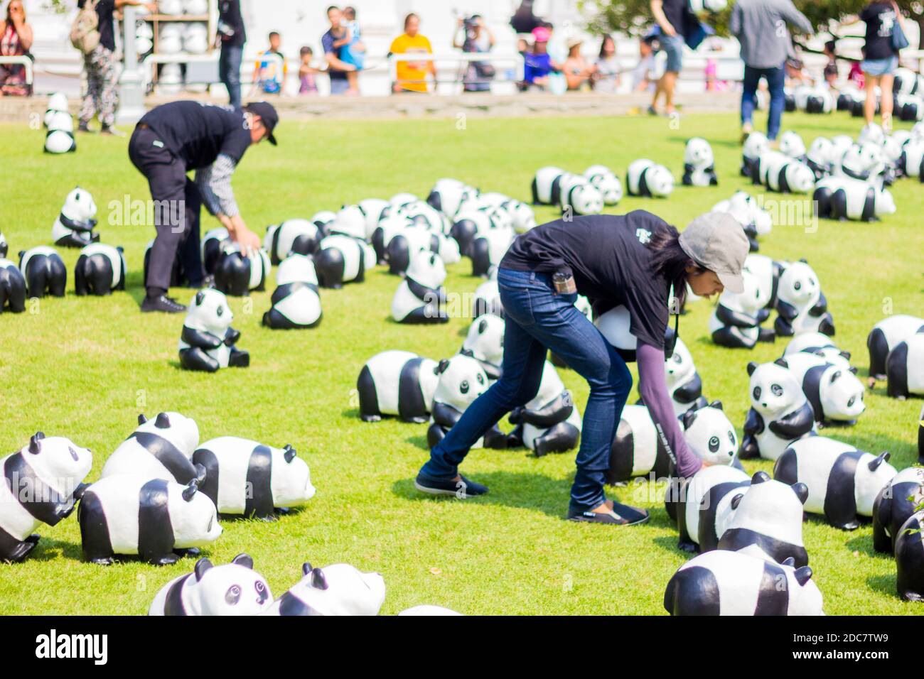 Les Pandas 1600 par l'artiste Paulo Grangeon au parc Santi Chai Prakan à Bangkok, Thaïlande Banque D'Images