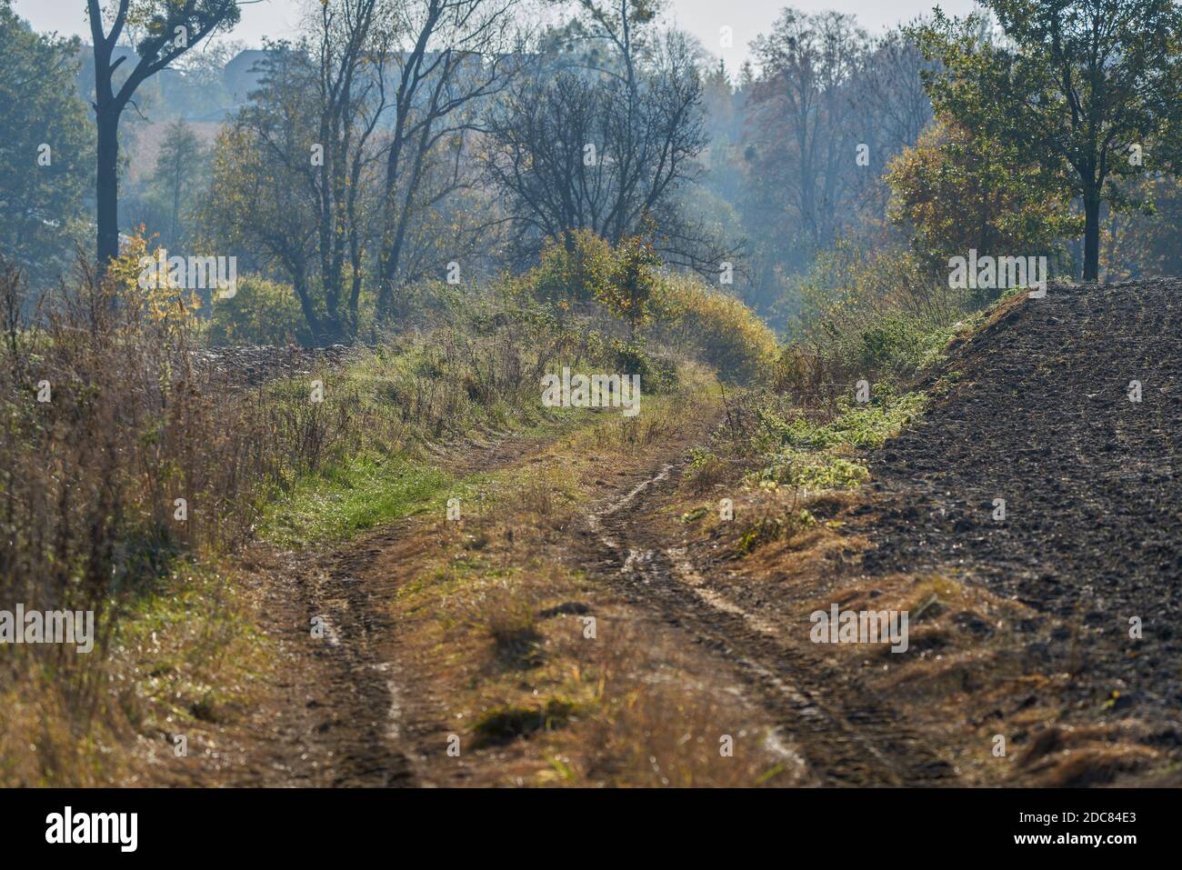 Luxueux automne couleurs et humeur Basse Silésie Pologne Banque D'Images