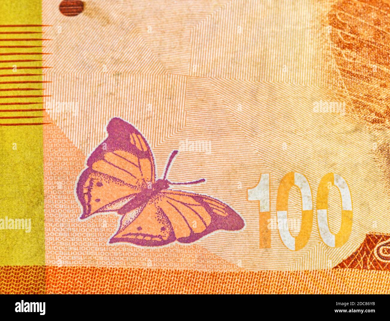 Un fragment de 100 roupies sri-lankaises inversées utilisait un billet de banque fermé avec un espace de copie. Papillon de feuilles d'automne sur le billet. Banque D'Images