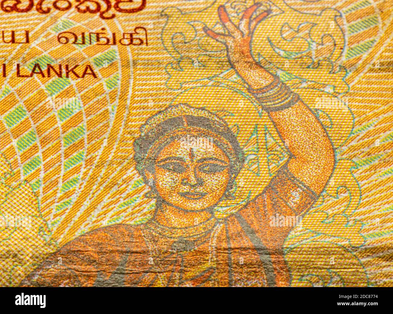 100 la roupie sri-lankaise a utilisé la fermeture de billets de banque. La roupie est la monnaie nationale du Sri Lanka. Banque D'Images