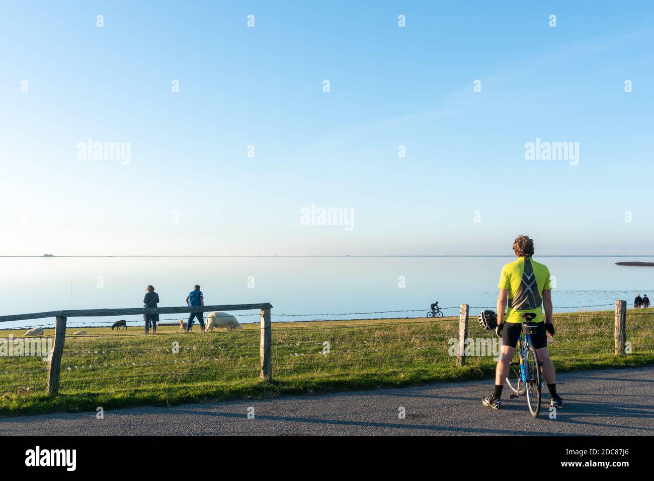 Paysage côtier dans le parc national de la mer des Wadden, Elisabeth-Sophien-Koog, péninsule Nordstrand, Schleswig-Holstein, Allemagne, Europe Banque D'Images