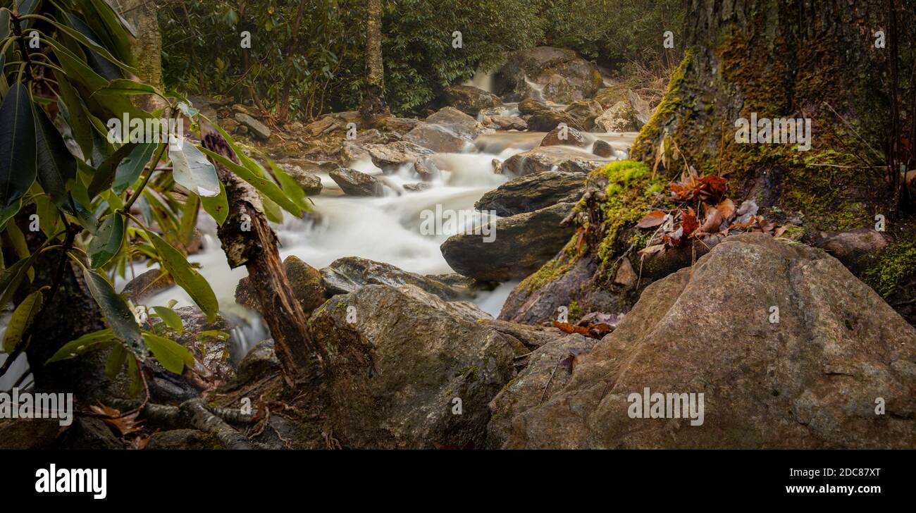 Une chute d'eau serpente à travers les montagnes Blue Ridge dans l'ouest Caroline du Nord Banque D'Images