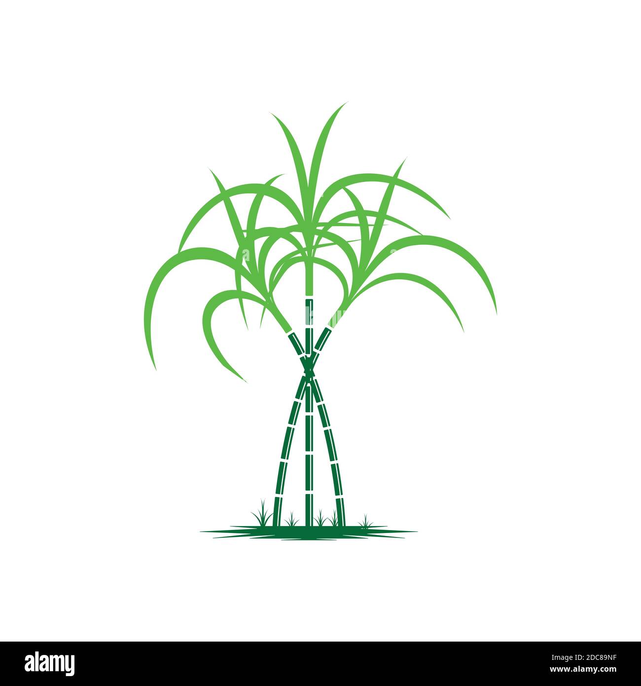 Logo et symbole de canne à sucre Illustration de Vecteur
