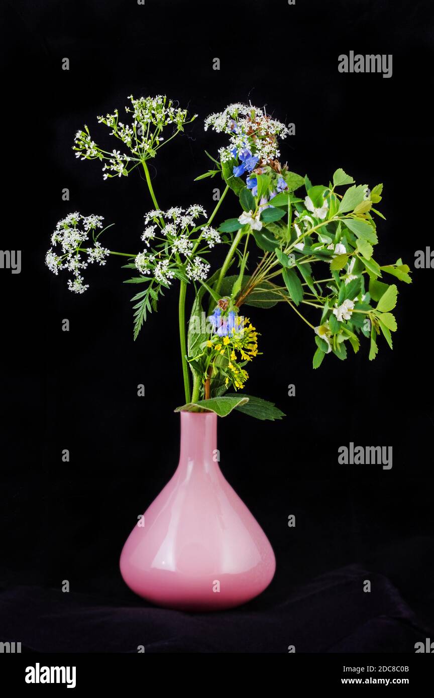 Jolies fleurs sauvages sur fond noir dans un vase rose Banque D'Images