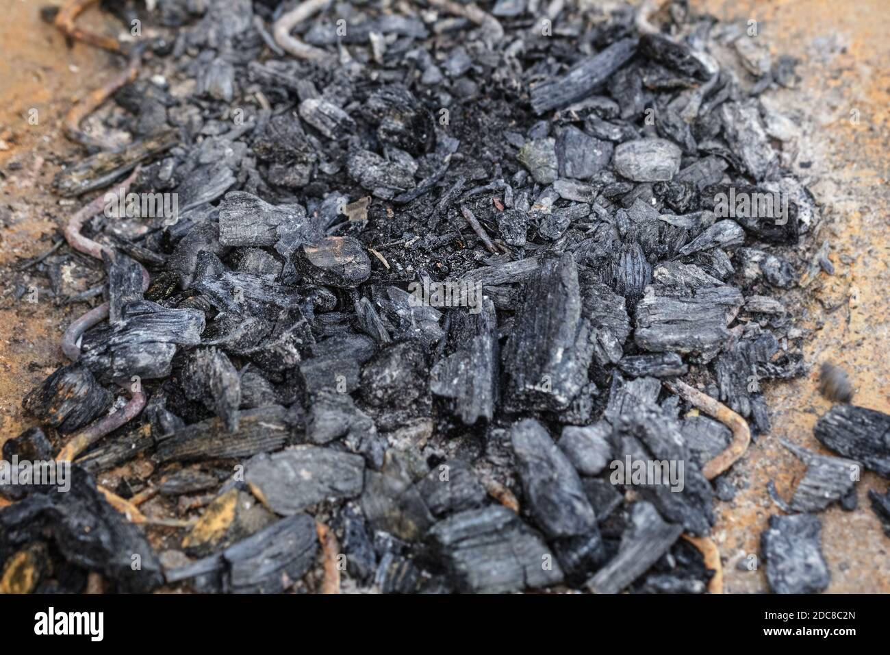 Des feux noirs sur terre comme un signe de mémoire Banque D'Images