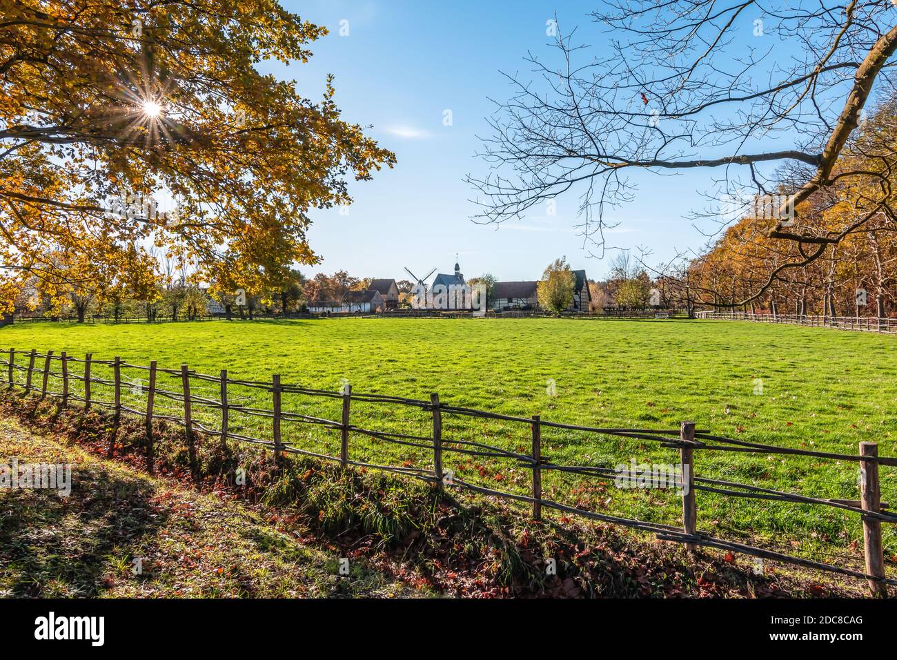 Magnifique parc rural avec prairie entourée de clôtures en bois et soleil à travers l'arbre d'automne. Bokrijk, Belgique. Banque D'Images