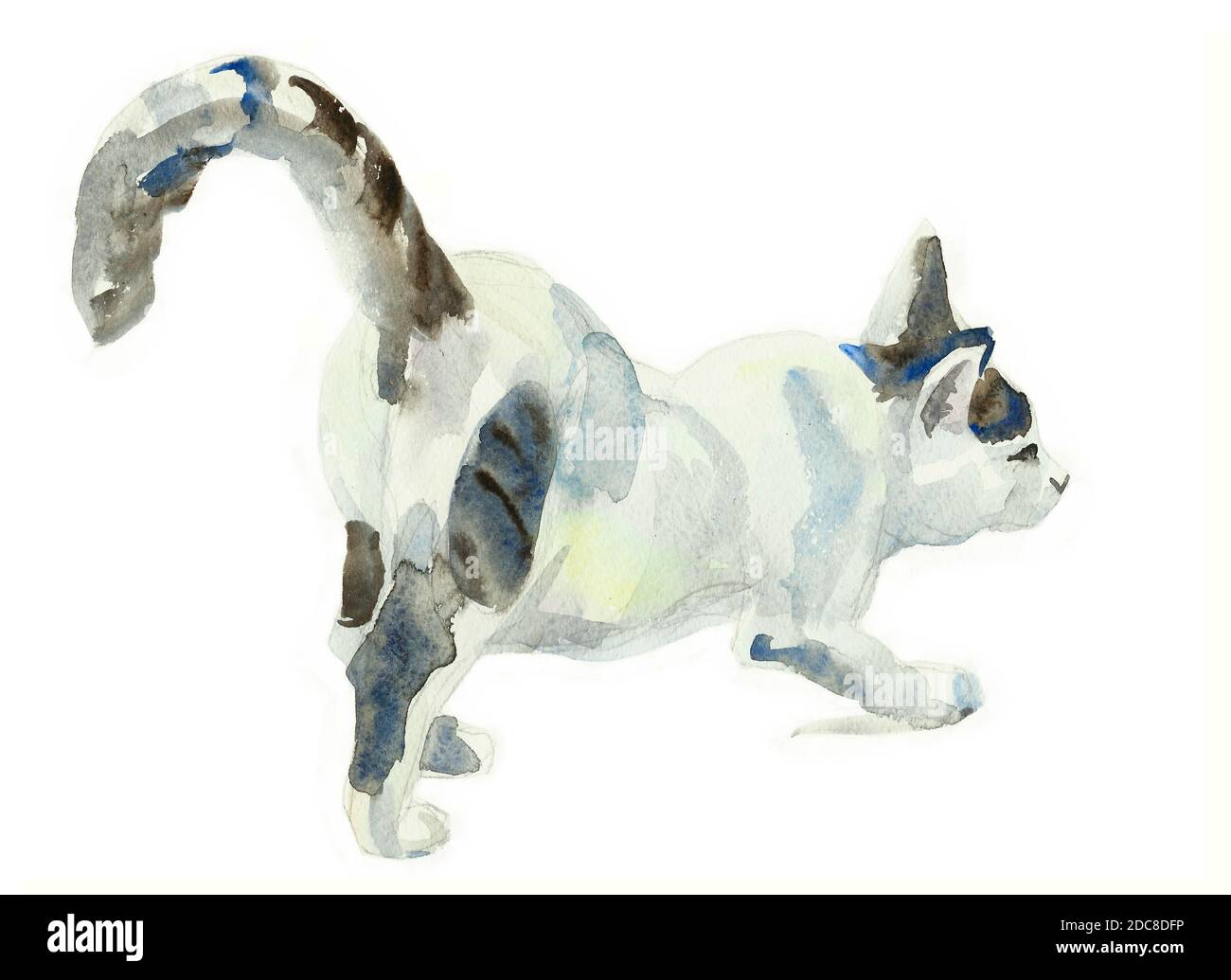 aquarelle peinture chat étirant illustration originale isolée sur fond blanc Banque D'Images