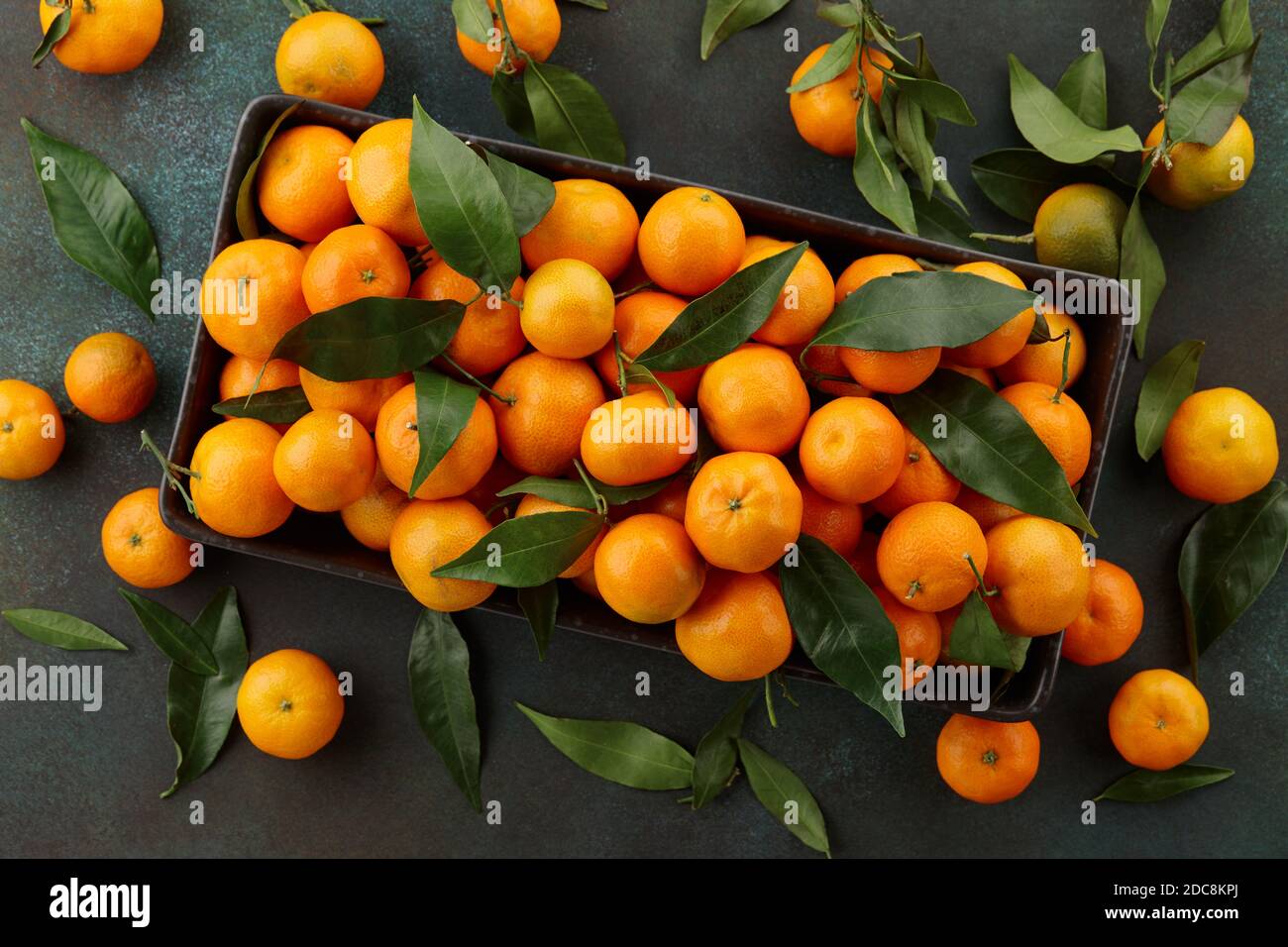 Mandarines fraîches avec feuilles. Fruits d'hiver de saison pour Noël. Banque D'Images