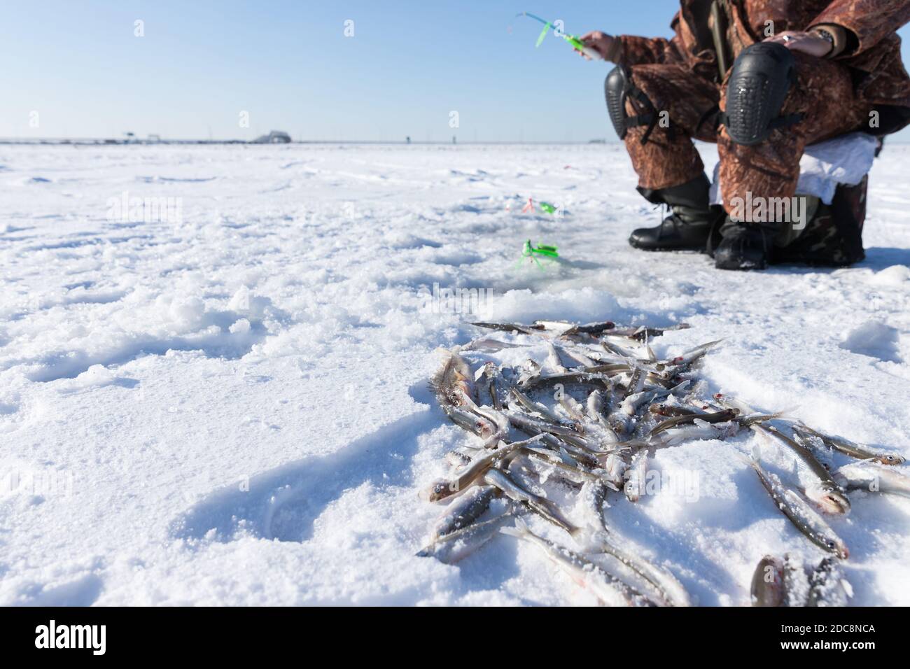 Pêcheur sur la mer gelée en hiver givré jour ensoleillé, accent sélectif sur les poissons fraîchement pêchés dans la neige. Banque D'Images