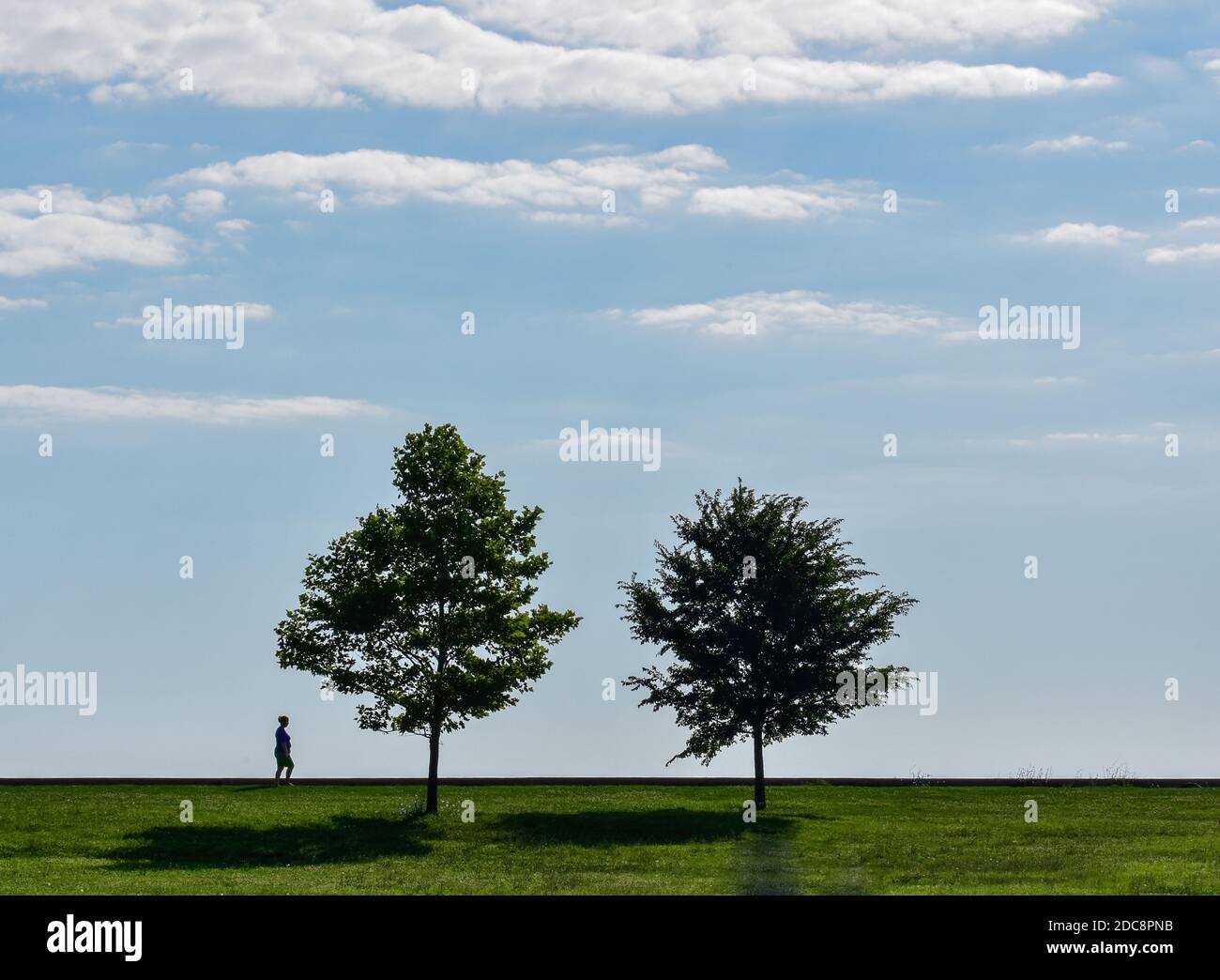 personne marchant le long de la silhouette d'arbres Banque D'Images