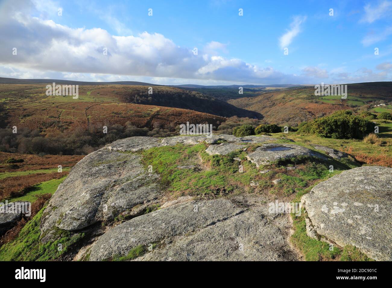 Vue d'automne depuis le haut du banc jusqu'à la gorge de Dart en direction de Dartmeet, parc national de Dartmoor, Devon, Angleterre, Royaume-Uni Banque D'Images