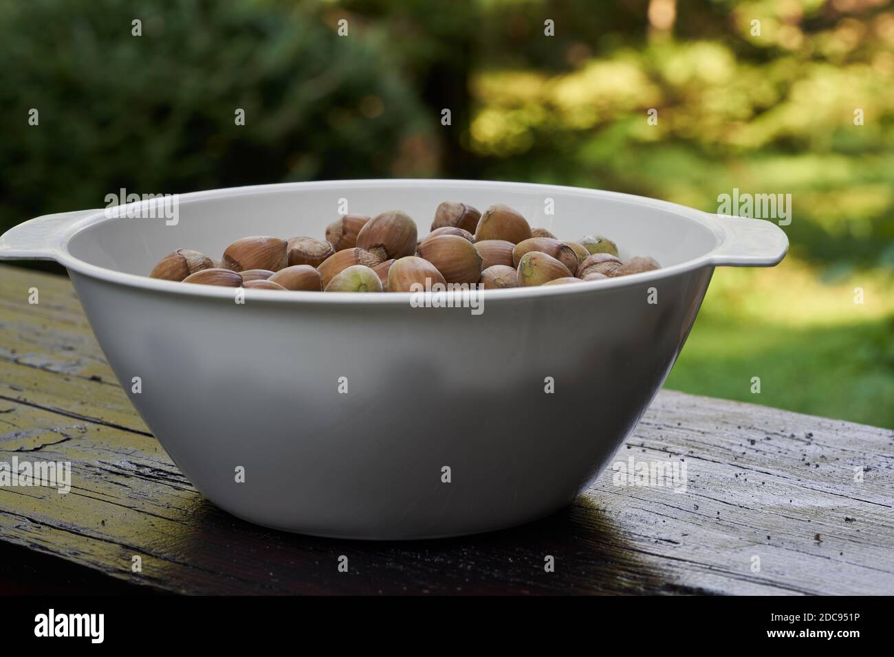 Un bol blanc rempli de noisettes mûres placé sur une table en bois. Arrière-plan vert. Banque D'Images