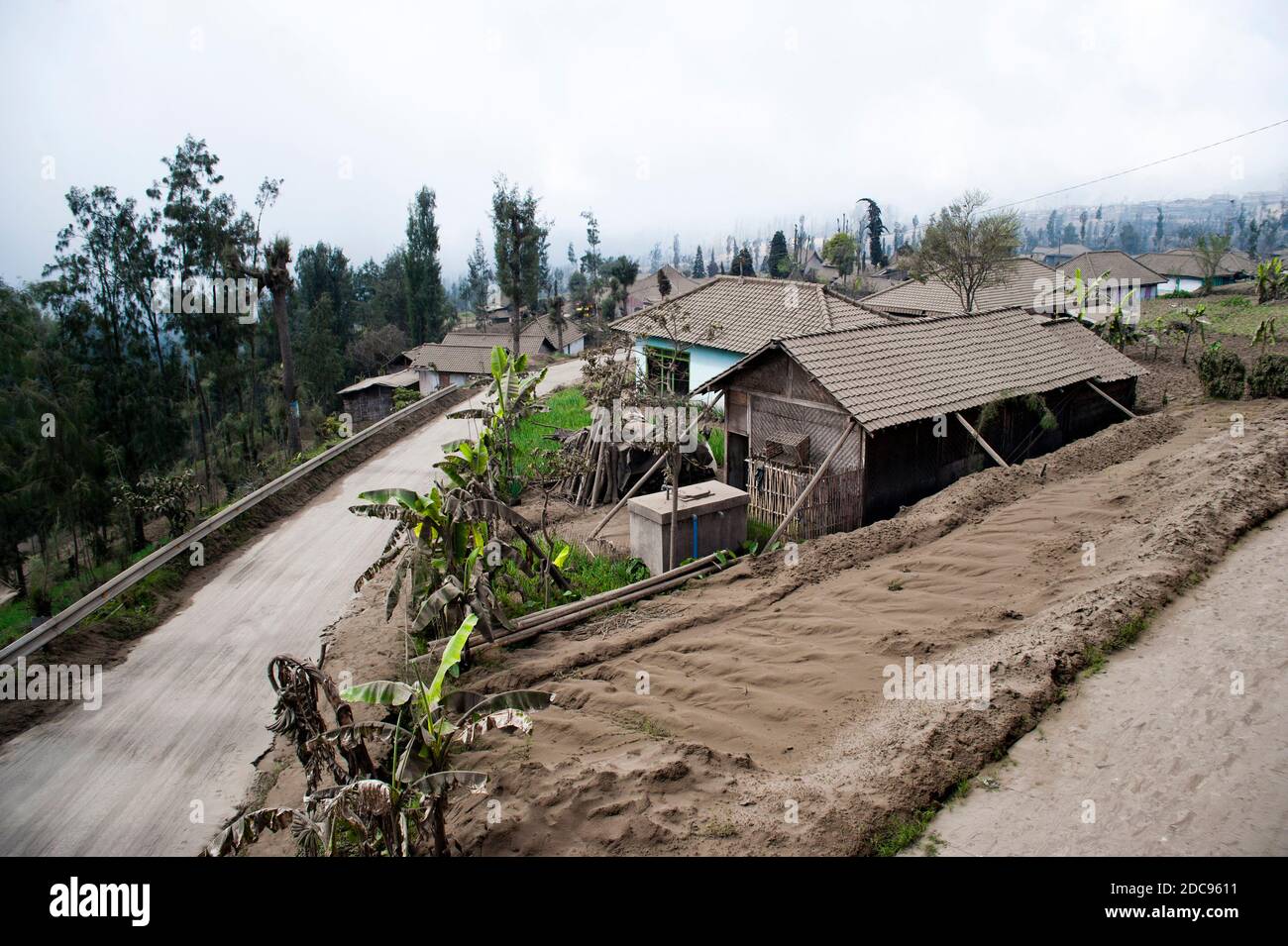 Cemoro Lawang recouvert de cendres du mont Bromo, Java-est, Indonésie, Asie Banque D'Images