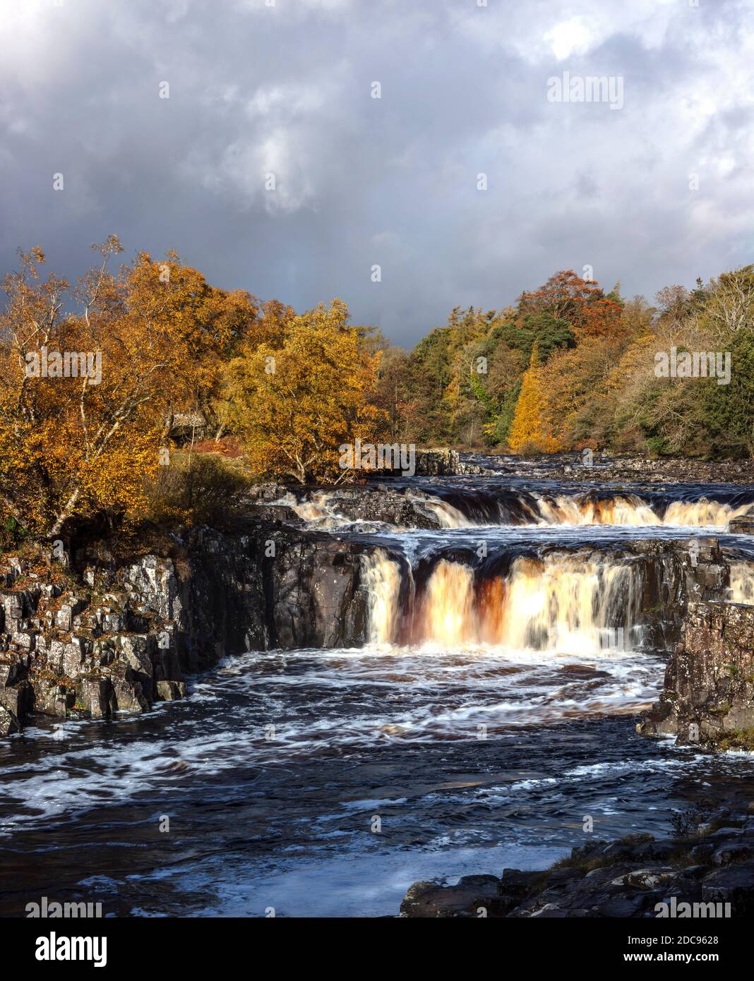 Chute d'eau de Low Force en automne, Bowles, Teesdale, comté de Durham, Angleterre, Royaume-Uni Banque D'Images