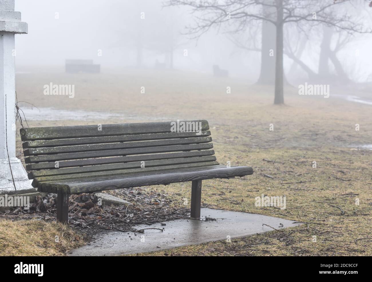 Vider le banc du parc dans le parc le matin brumeux Banque D'Images