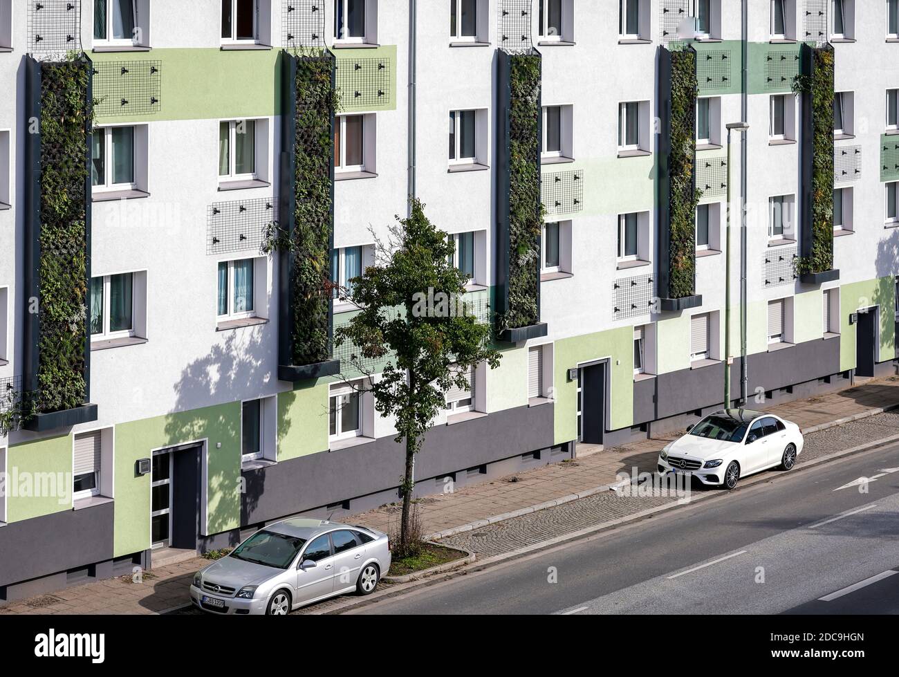 13.10.2020, Essen, Rhénanie-du-Nord-Westphalie, Allemagne - façade reliée au mur écologisation des bâtiments résidentiels récemment rénovés de l'Allbau Wohnungsbauge Banque D'Images