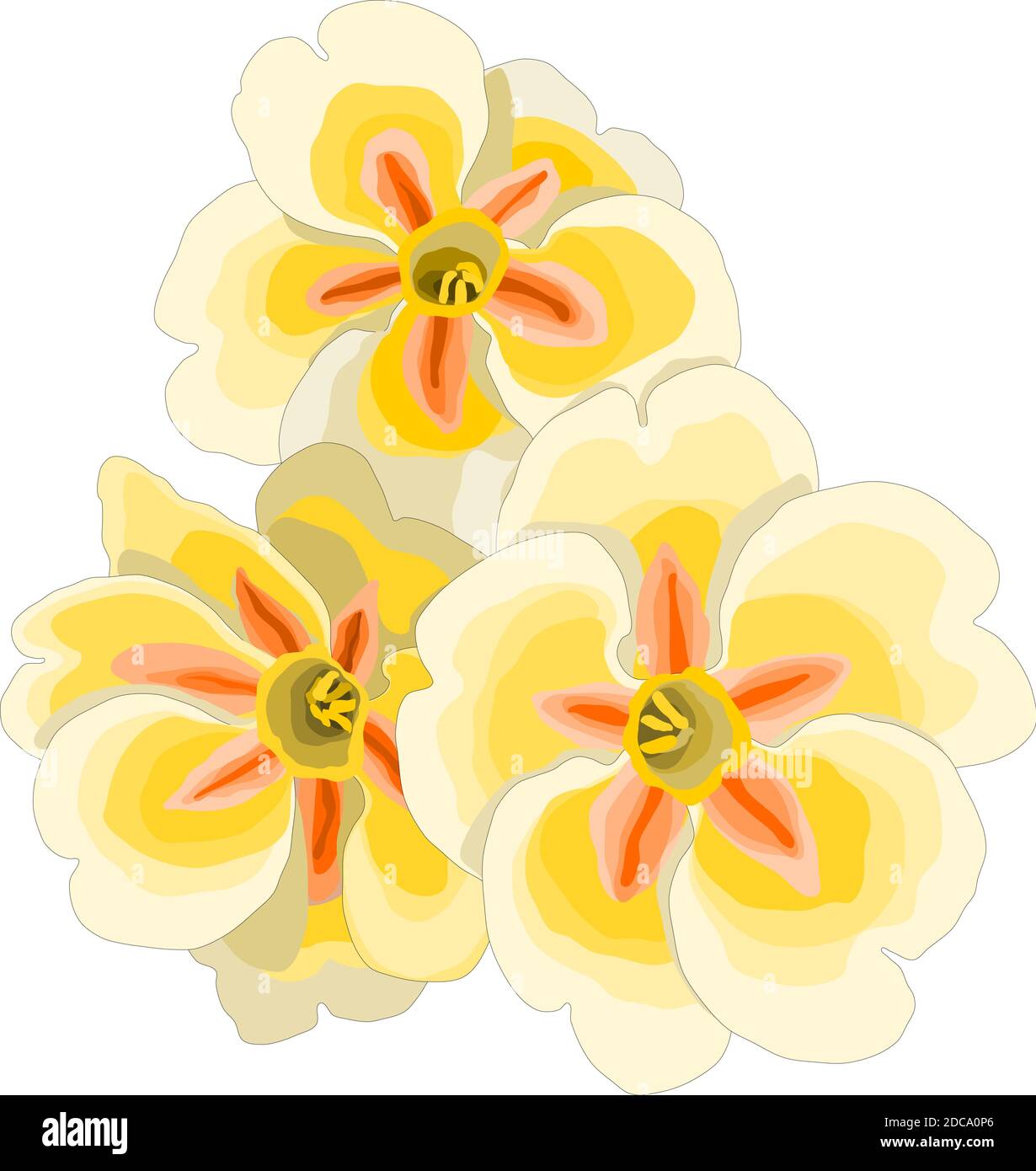 Vecteur de fleur de géranium jaune Image Vectorielle Stock - Alamy