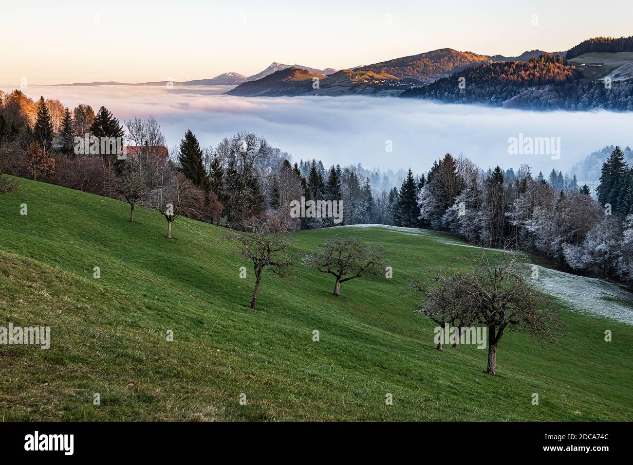 Un paysage suisse central avec brouillard se déplaçant dans une vallée de montagne, avec des arbres cultivés et des pâturages couverts de givre, avec des montagnes dans le Banque D'Images